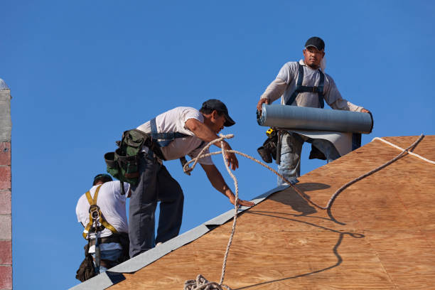 Best Roof Gutter Cleaning  in Bellville, OH